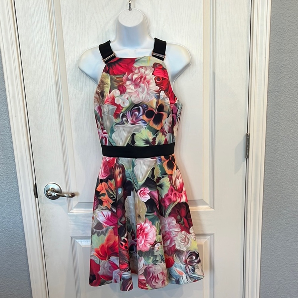 Y2K Ted Baker Samra Floral Skate Dress
1B